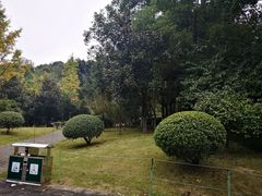 -龙头寺公园