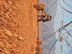 -野鸭湖国家湿地公园