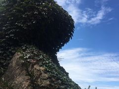 -崂山巨峰游览区
