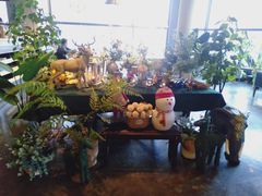 -LYFATTI 莱芙缇(赣水路店)