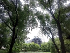 -长兴太湖图影湿地文化园