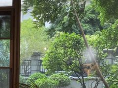 -咖法森林·咖啡  酒吧(天河店)