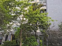 -天元颐城商务楼