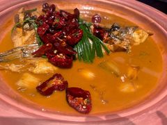 -柿合缘新京菜(国金中心商场店)