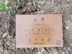 -长春世界雕塑园
