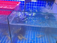 -罗二娘·鲜切牛自助火锅(罗湖东门步行街店)