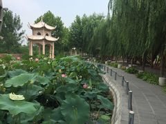 -河北村民俗体验园