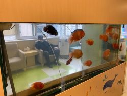 -杭州贝瑞斯美华妇儿医院·早孕·产检·儿科