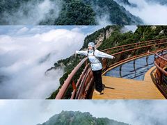-少华山国家森林公园