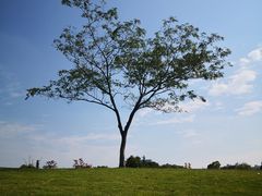 -白塘生态植物园