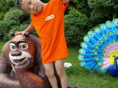 -郑州方特水上乐园