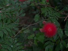 -燕晗山郊野公园