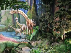 -陕西自然博物馆