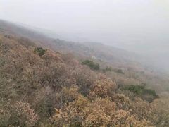 -紫金山山顶公园