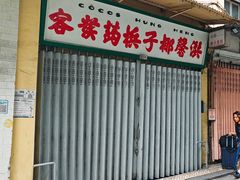 -洪馨椰子