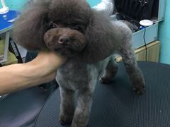 -宠伴小精灵宠物店(鼓楼店)