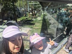 -青藏高原野生动物园