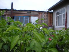 -北极村旅游风景区