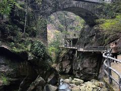 -大鄣山卧龙谷景区
