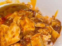 -陈麻婆豆腐总店