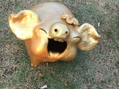 -清迈夜间动物园