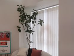 -WENDY·温迪皮肤管理