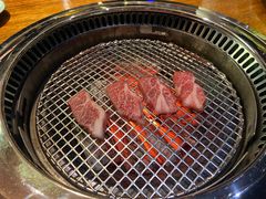 -观品和牛