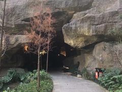-福道