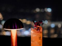 -苏丝的天空高空酒吧Suzie's Sky Bar
