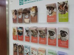-美联众合动物医院·24h转诊中心