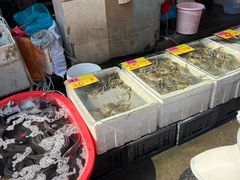 -上海浦南农副产品批发市场