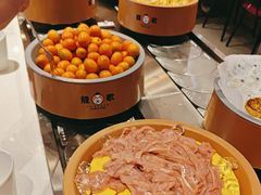 -龍歌自助小火锅(兰山上海路万达店)
