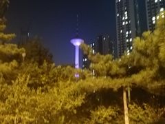 -辽宁电视塔