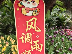 -南山植物园