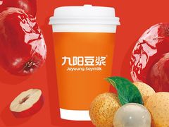 九阳红枣桂圆豆浆-老牌胖米粉