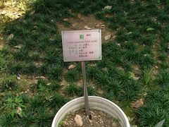 -广州神农草堂中医药博物馆