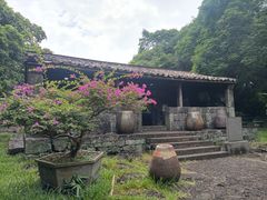-海口火山口国家地质公园