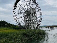 -苏州太湖湖滨国家湿地公园