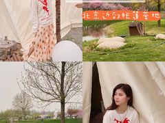 -安德鲁户外烧烤帐篷营地(马泉营店)