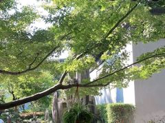 -东山雕花楼