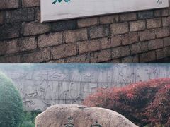 -嘉定紫藤园