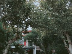 -笃笃笃糖粥(十全街店)