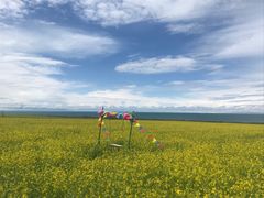 -青海湖国家重点风景名胜区