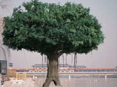 -咸阳湖景区