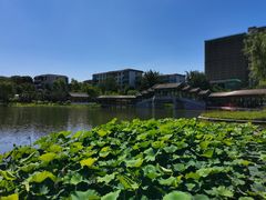 -西海子公园