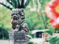 -广富林郊野公园