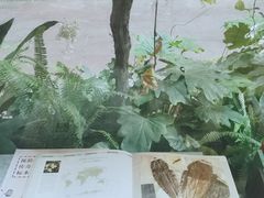 -二酉书店TOYOU BOOKS