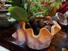 -NLFS1983咖啡花园餐厅(锦桂店)