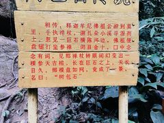 -莫里热带雨林景区