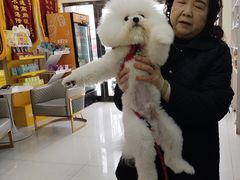 -天宠宠物医院24小时·急重症诊疗中心·全科·腔镜特色(和平分院)